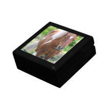 Paint Draft Horse  Gift Box