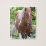 Paint Draft Horse  Puzzle