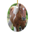 Paint Draught Horse Ornament ornament