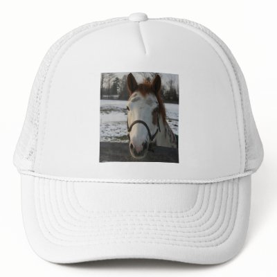 Paint Hat by EquineGal