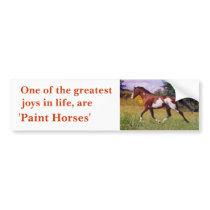 Paint Horse 3, Bumper Sticker. bumper stickers