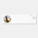Paint Horse Bumper Stickers