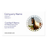 Paint Horse Business Card
