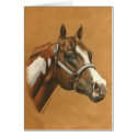 Paint Horse card