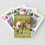 Paint Horse playing cards