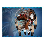Paint Horse Dreamcatcher Postcard