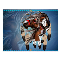 Paint Horse Dreamcatcher Postcard