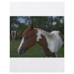 Paint Horse Full Color Flyer