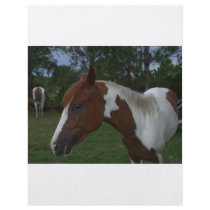 Paint Horse Full Color Flyer