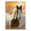 Paint Horse Gold Christmas Cards