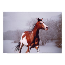 Paint Horse In Snow, Print.