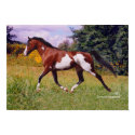 Paint Horse in Spring, Art print. by TrailsThroughNature Paint Horse in Spring, Art print.