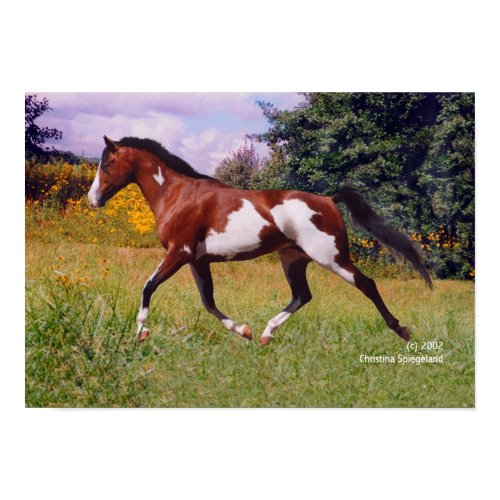 Paint Horse in Spring, Art print. print