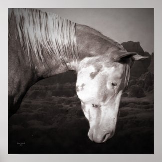 Paint Horse in the Badlands