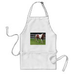 Paint Horse in the Pasture Apron