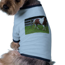 Paint Horse in the Pasture Doggie Tshirt