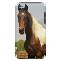 Paint Horse iTouch Case casemate cases