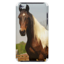 Paint Horse iTouch Case iPod Touch Case