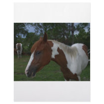 Paint Horse Letterhead Template