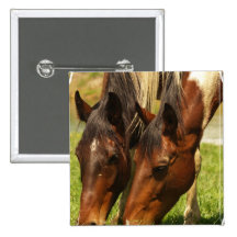 Paint Horse Love  Square Pin