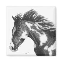 Paint horse magnet