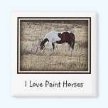 Paint Horse magnets