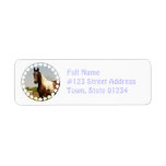 Paint Horse Mailing Label