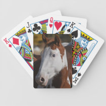 Paint Horse Piebald Playing Cards Western Ranch