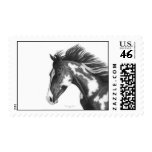 Paint horse postage