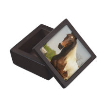 Paint Horse Premium Gift Box