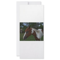 Paint Horse rack cards