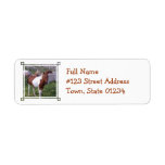 Paint Horse Return Address Label