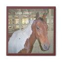 Paint Horse - Sir Lord James magnets by Animal_Anticipation Paint Horse - Sir Lord James magnets