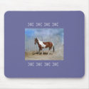 Paint Horse - Sir Lord James mousepads by Animal_Anticipation Paint Horse - Sir Lord James mousepads