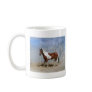 Paint Horse - Sir Lord James