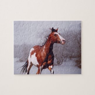 Paint Horse Snow Puzzle puzzle