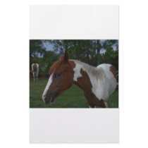 Paint Horse stationery