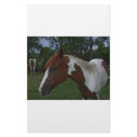 Paint Horse stationery