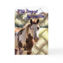 Paint Horse Sympathy card