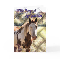 Paint Horse Sympathy card by MakaraPhotos Paint Horse Sympathy card