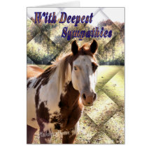 Paint Horse Sympathy card