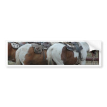 Paint Horse Tail bumper stickers by Animal_Anticipation Paint Horse Tail bumper stickers