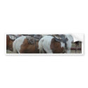 Paint Horse Tail bumper stickers