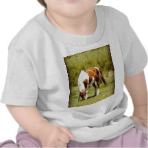 Paint Horse Tshirt