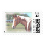 Paint Horse Watercolor Artwork Stamp