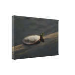 Paint in the Water Gallery Wrapped Canvas