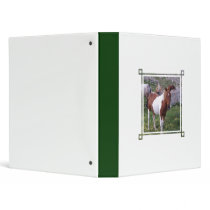 Paint Indian Pony Binder