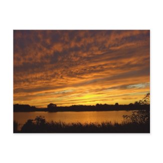 Paint it orange postcard