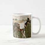 Paint Mare and Foal mugs