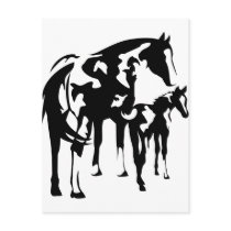 Paint Mare and Foal Postcard